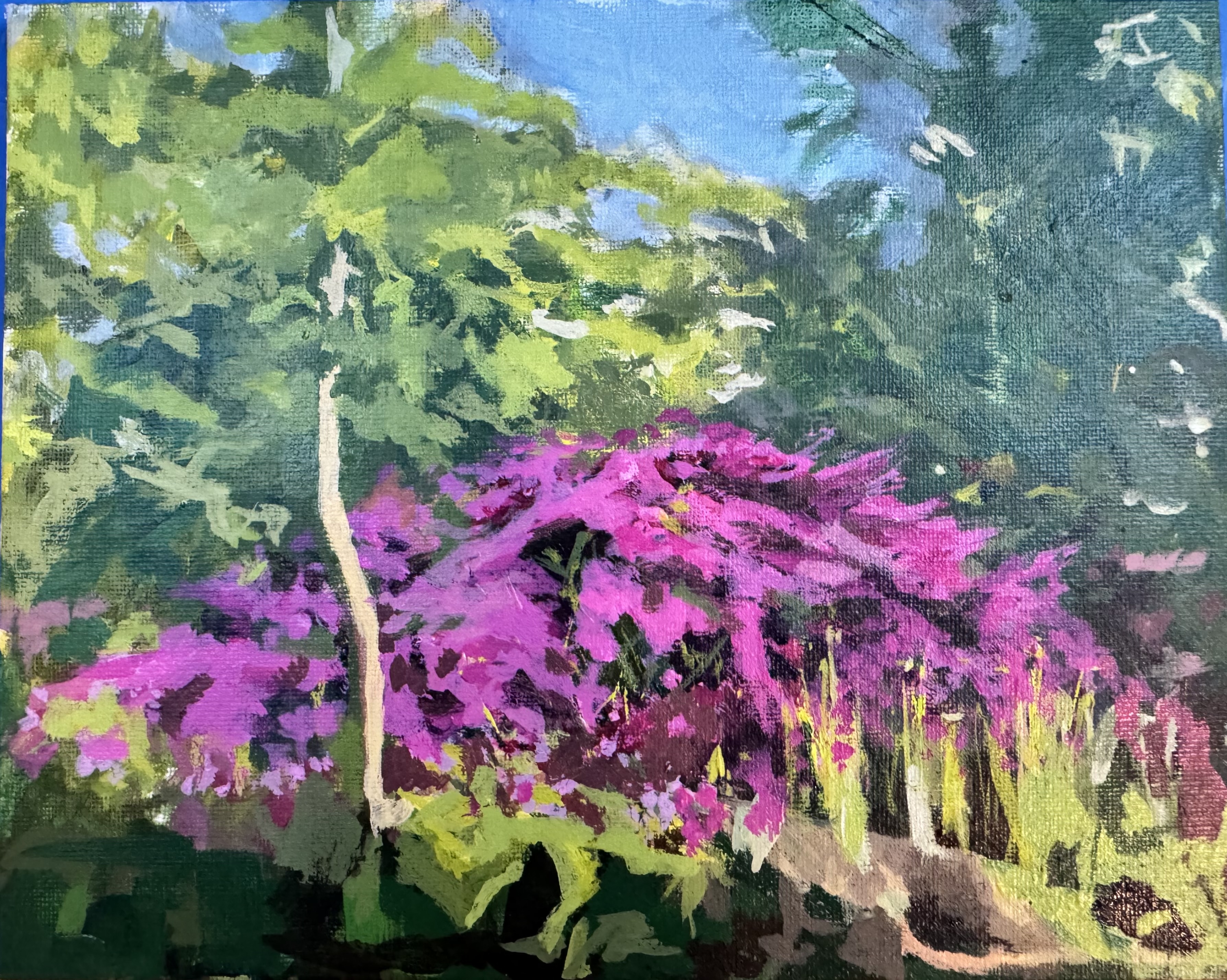 Azalea in Bloom, 2023