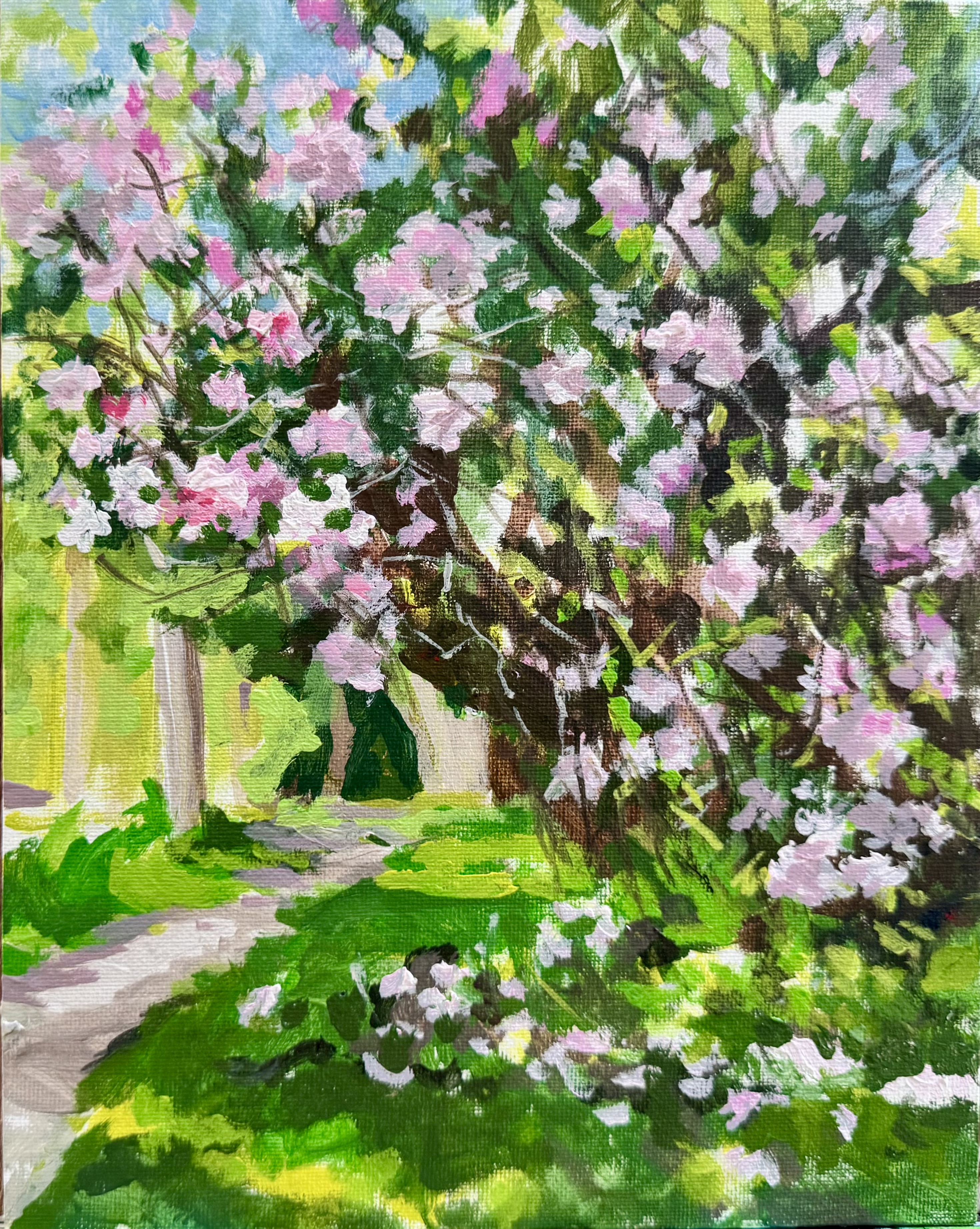 Blossom Path, 2023