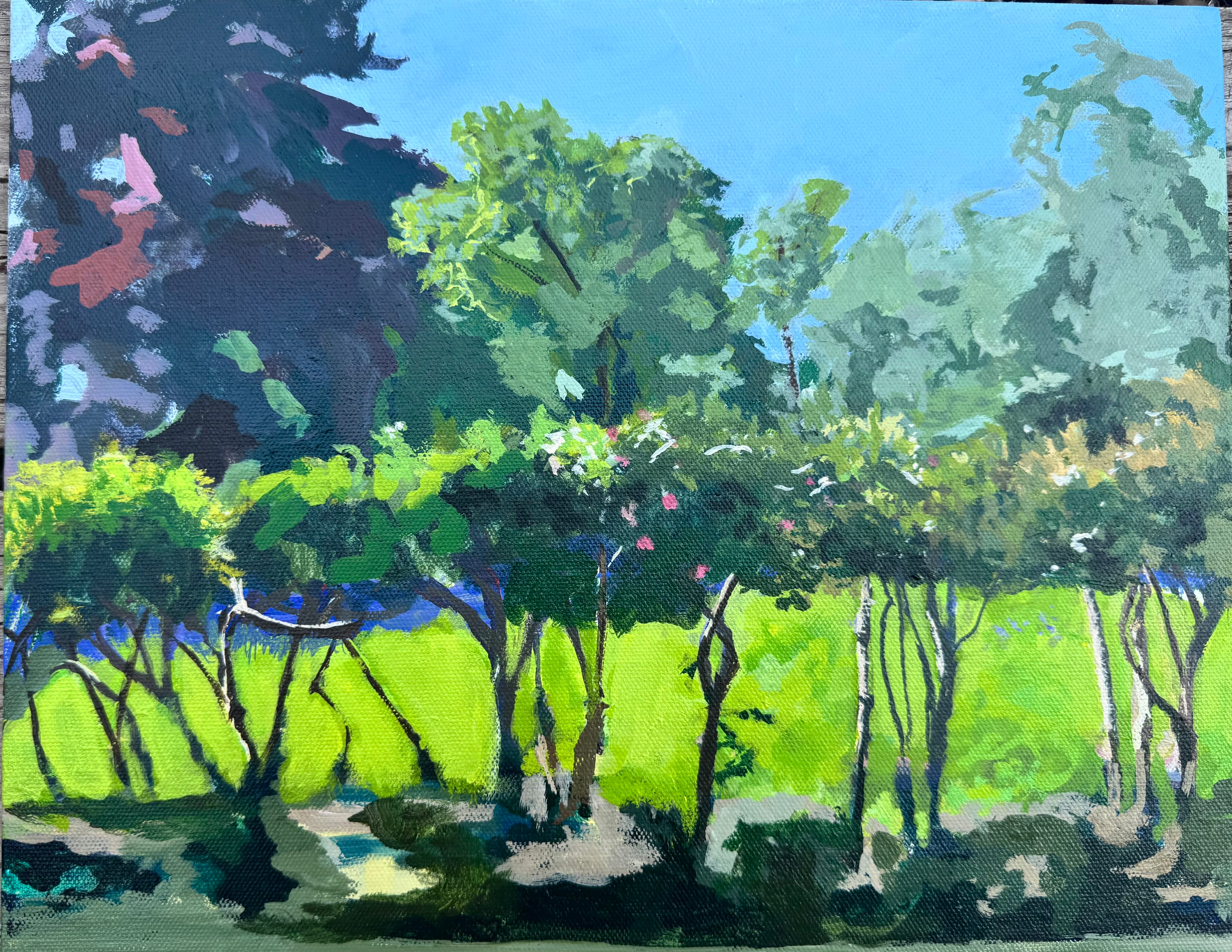 Sunlit Grove, 2024